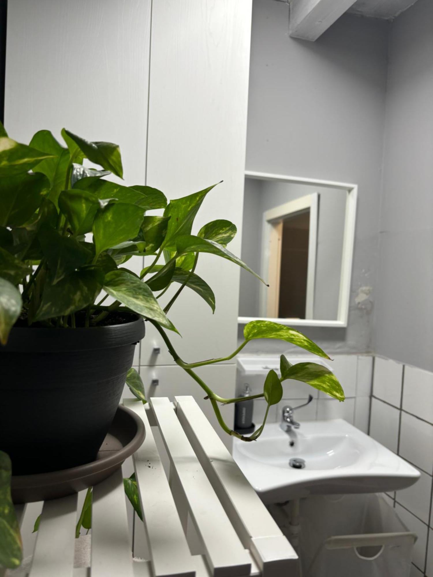 Capitolium Ad Bed & Breakfast Brescia Bagian luar foto